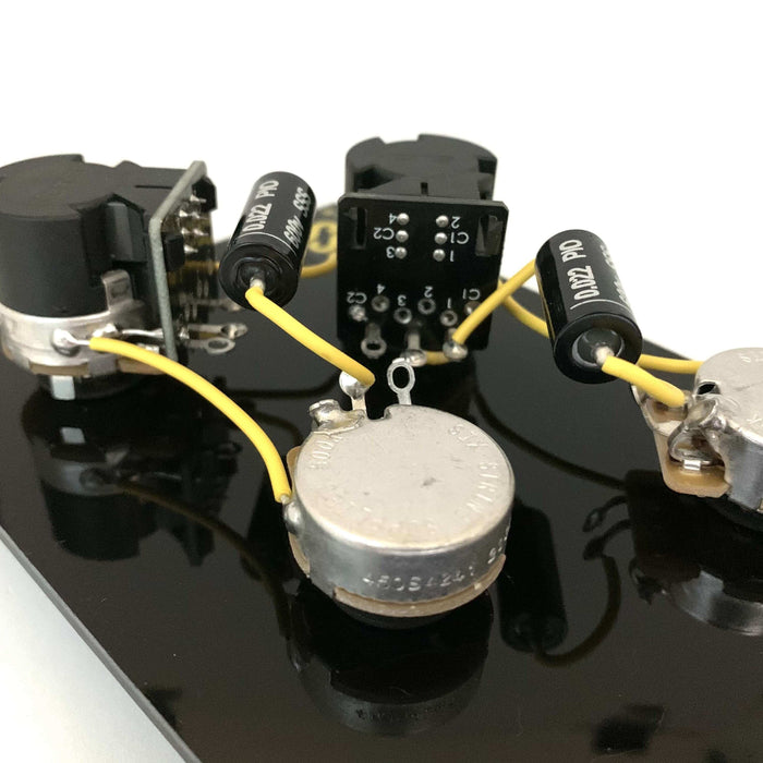 les paul harness push pull pots