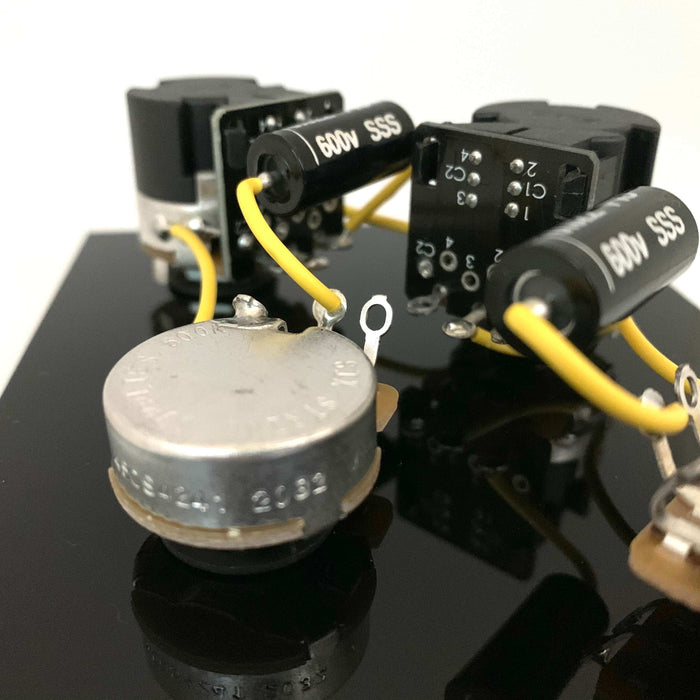 prewired kit for les paul with coil split
