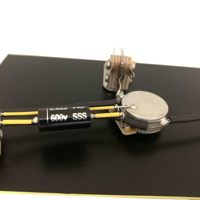 2 knob PRS wiring kit
